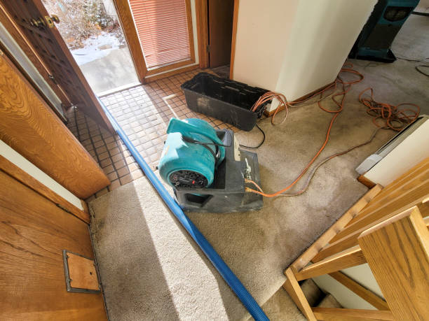 Best Water damage cleanup near me  in Dousman, WI