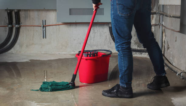 Best Mold removal after water damage  in Dousman, WI