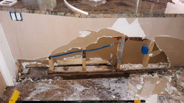 Best Professional water damage repair  in Dousman, WI