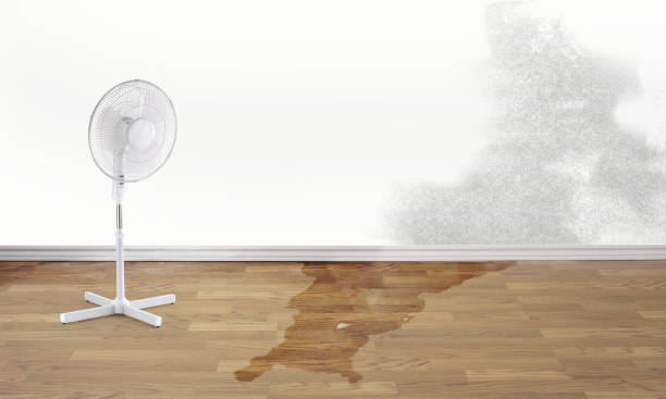 Best Water damage restoration near me  in Dousman, WI