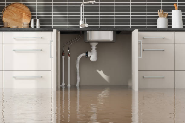 Best Residential water damage restoration  in Dousman, WI