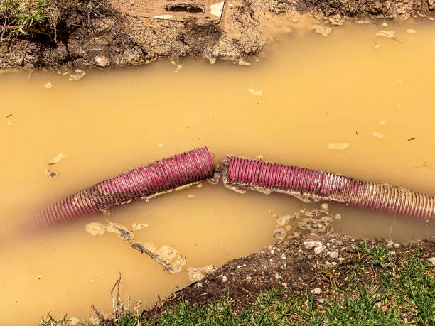  Dousman, WI Water damage restoration Pros