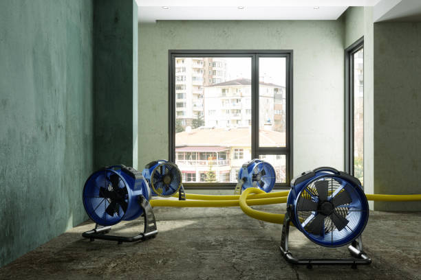 Best 24-hour water damage restoration  in Dousman, WI