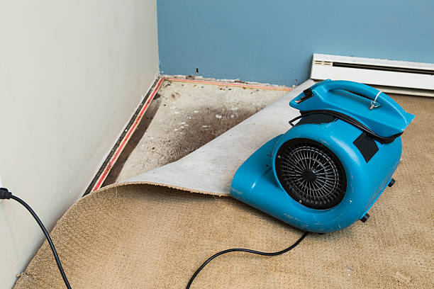 Best Flood damage cleanup  in Dousman, WI